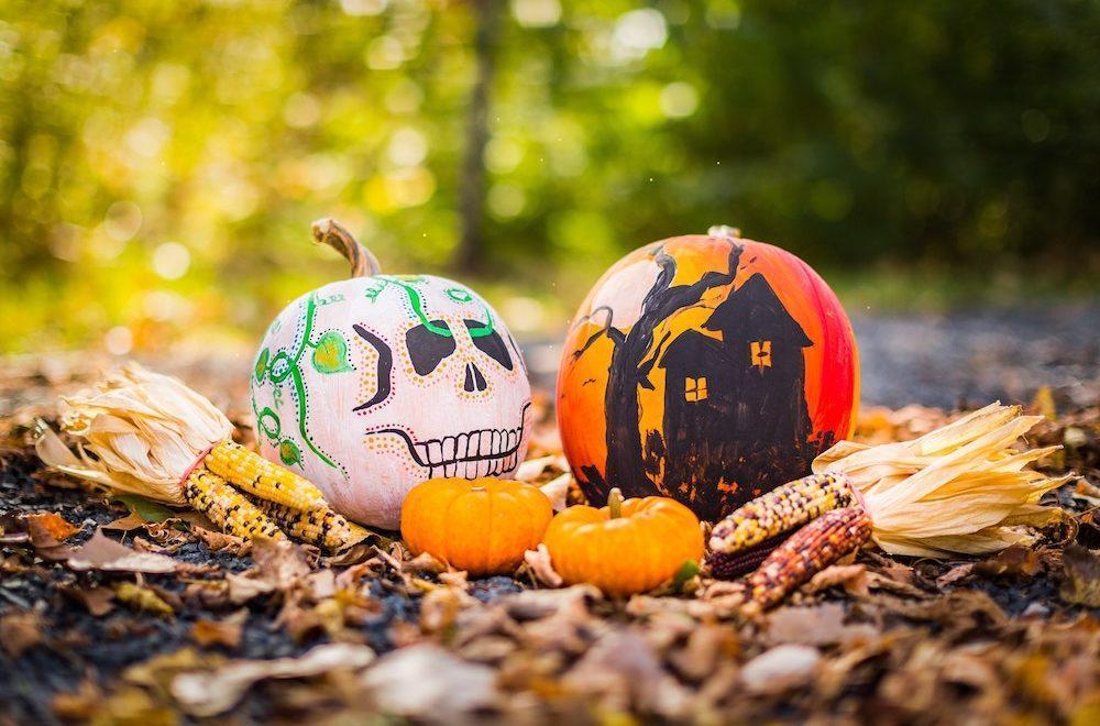 Two pumpkins painted with decorations with two smaller pumpkins and bundles of dried corn in the foreground and green foliage in the background; pumpkin on the left is white with a skull illustration and pumpkin on the right is orange with a bare tree and house illustration
