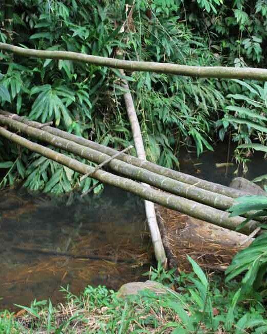 Bamboo bridge over a creek with bamboo hand rail.