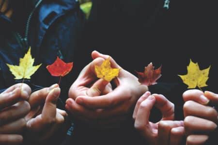 Five hands holding small leaves in various fall colors.