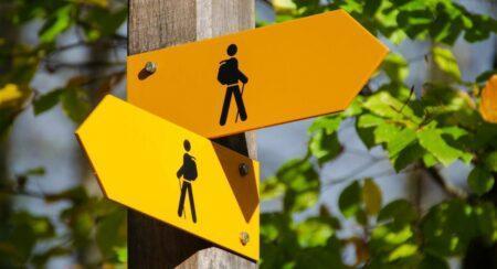 A brown wooden post bearing two yellow signs each showing a human figure in black, one sign pointing left and the other pointing right, with blurred leaves and branches in the background