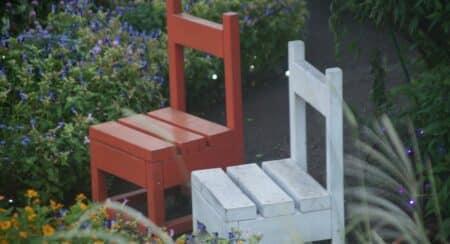 Two empty chairs surrounded by plants