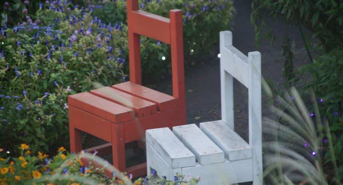 Two empty chairs surrounded by plants