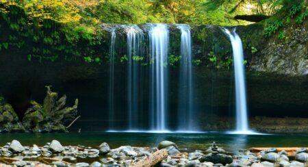 Waterfall with green ledge above and gray rocks and brown logs in foreground