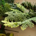 Close-up of evergreens gathered into a wreath with a bundle of red berries and the tip of a pair of metal pliers on a beige surface
