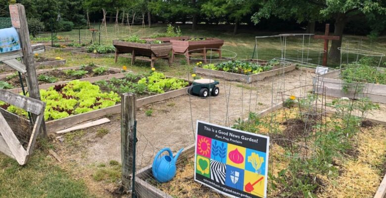 Wide view of garden with raised beds bordered by wood, a dirt path between beds, and a wooden cross in the background; sign in bed in the foreground says "This is a Good News Garden! Plant, Pray, Proclaim"