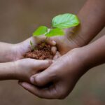 Hands of a younger person with medium light skin tone holding a green seedling in a clump of brown soil, and being held by the hands of an older person with medium dark skin tone