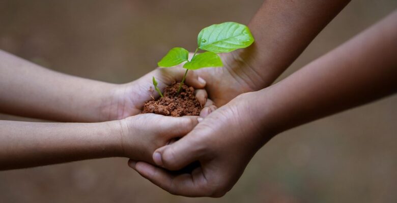 Hands of a younger person with medium light skin tone holding a green seedling in a clump of brown soil, and being held by the hands of an older person with medium dark skin tone