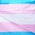 Transgender flag, with horizontal stripes from top to bottom in blue, pink, white, pink, and blue