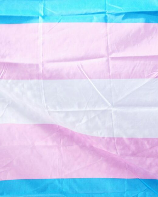 Transgender flag, with horizontal stripes from top to bottom in blue, pink, white, pink, and blue