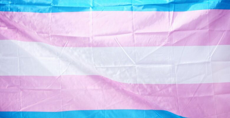 Transgender flag, with horizontal stripes from top to bottom in blue, pink, white, pink, and blue