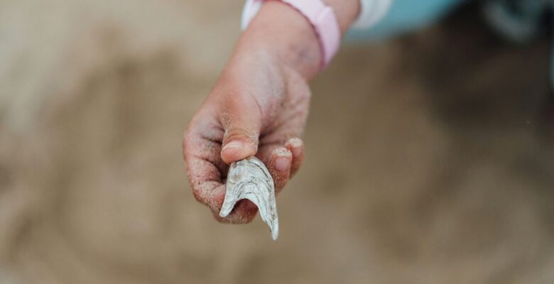 Close-up of the hand of a young person with medium skin tone wearing a pink wristband, holding a gray and white shell in front of a blurred beige background