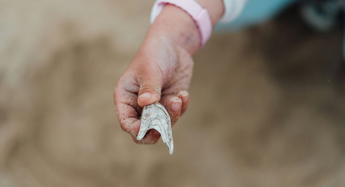 Close-up of the hand of a young person with medium skin tone wearing a pink wristband, holding a gray and white shell in front of a blurred beige background