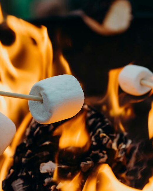 Three marshmallows on wooden sticks roasting over a fire