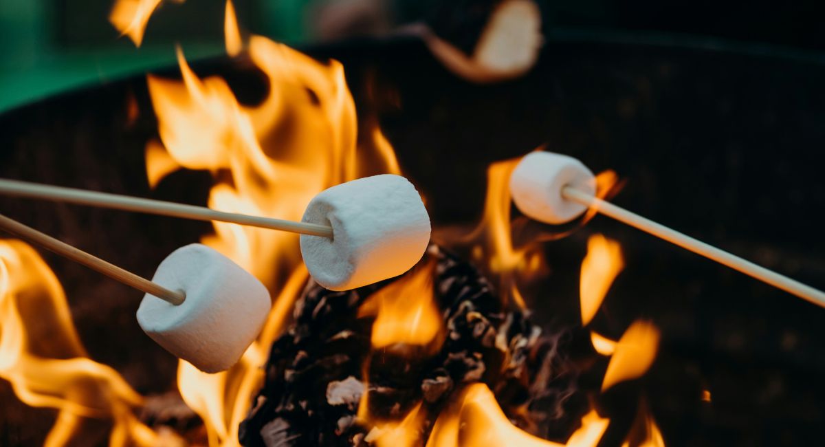 Three marshmallows on wooden sticks roasting over a fire