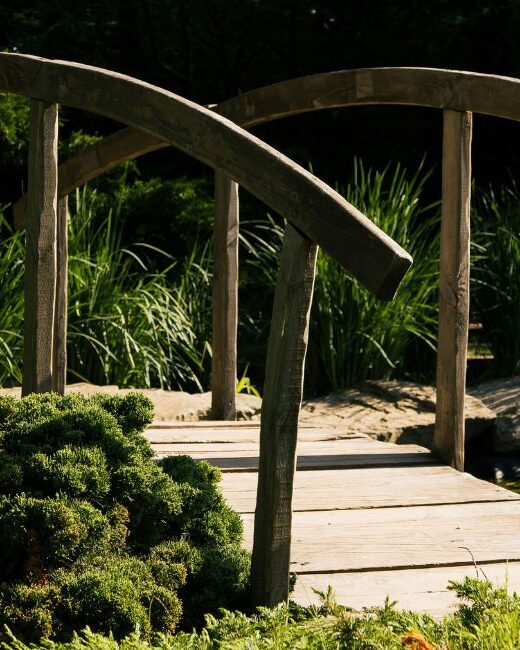 Wooden bridge over a creek surrounded by green grasses and bushes on both sides