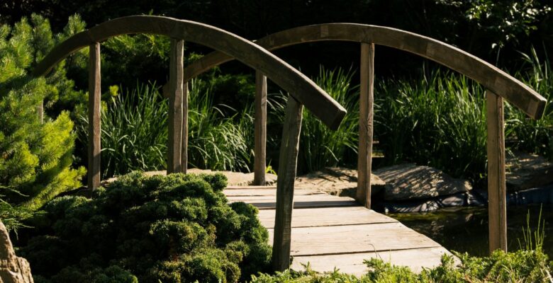 Wooden bridge over a creek surrounded by green grasses and bushes on both sides