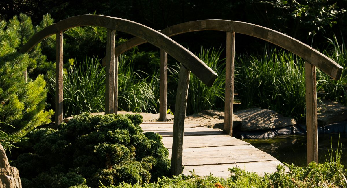 Wooden bridge over a creek surrounded by green grasses and bushes on both sides
